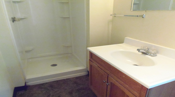 Dryden Realty Property Picture