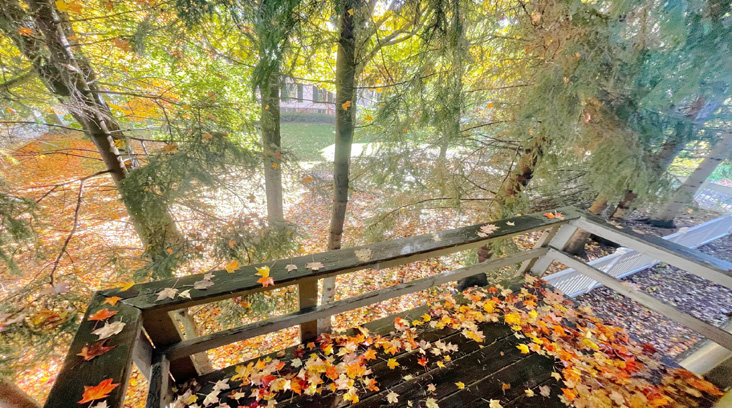 Dryden Realty Property Picture